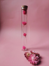 Droogbloem in glazen buis 20 cm | weeping budhha