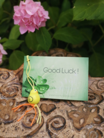 Good Luck kaartje met houten Geluksvogel