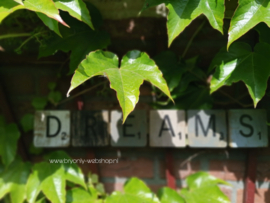 Hangbord Scrabble letters - Dreams
