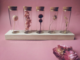 5 glazen flesjes met droogbloemen op standaard | Venus
