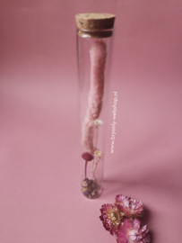 Droogbloem in glazen buis 20 cm | Pinkisch