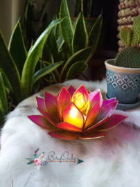 Lotus waxinelicht groen|roze