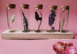 5 glazen flesjes met droogbloemen op standaard | Flora