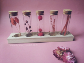 5 glazen flesjes met droogbloemen op standaard | Victoria
