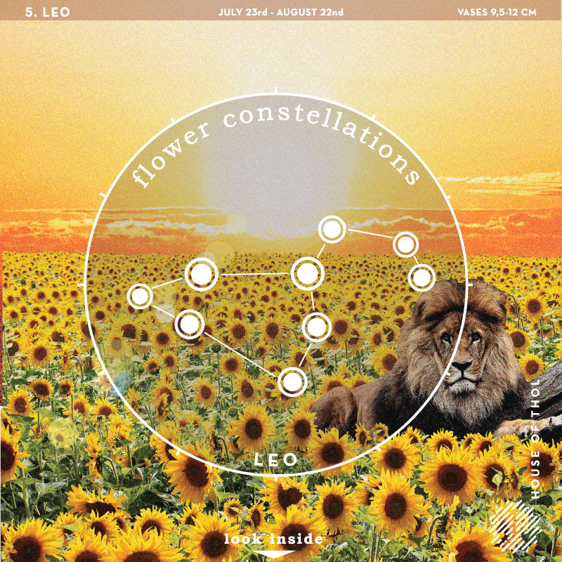 Flower Constellations - Leeuw (23/7-22/8)