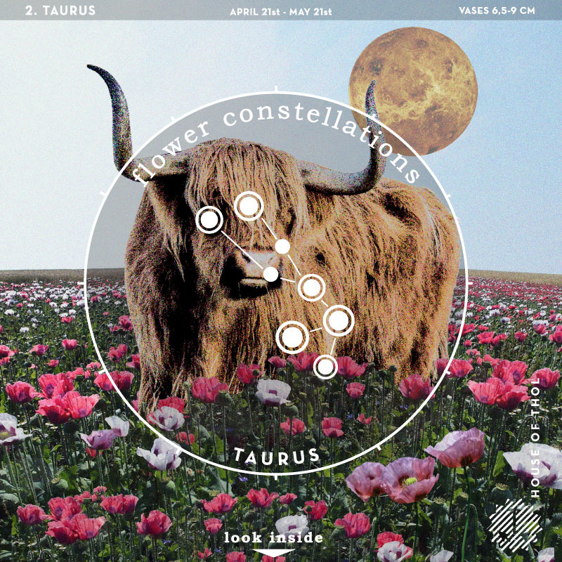 Flower Constellations - Taurus (21/4-21/5)
