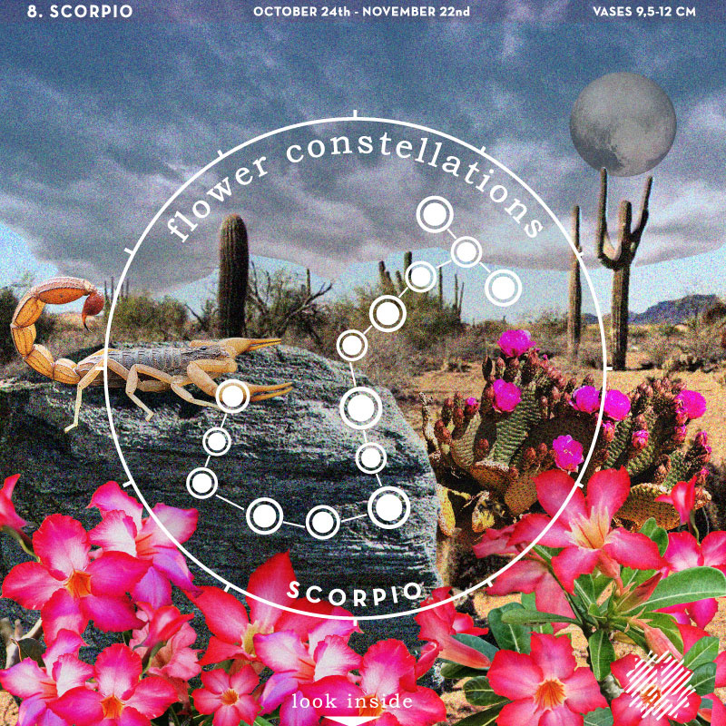 Flower Constellations - Scorpio (24/10 - 22/11)
