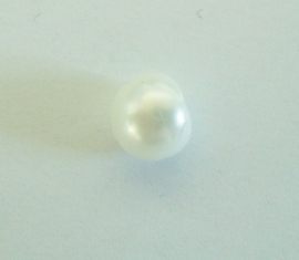 Knoop parelmoer rond