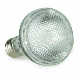 Back Zoo Nature Bird Sun UV-Lamp 35W