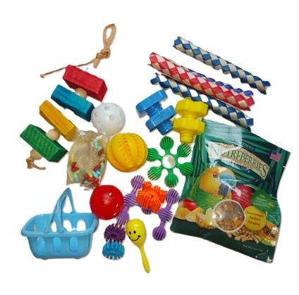 Vakantie box voor kromsnavels