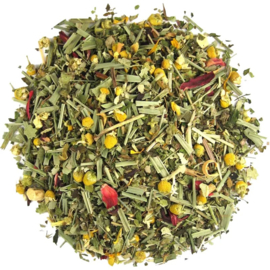Back Zoo Nature Parrot Tea Leaves & Blossom
