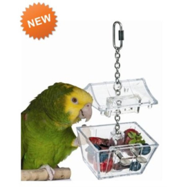 Parrots Treasure