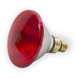 Warmtelamp PAR38 175 Watt rood