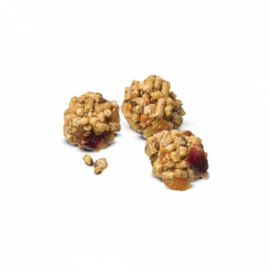 Lafeber Pellet-Berries Sunny Orchard - Parrot 284 gram