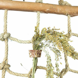Back Zoo Nature Jungle Net Small