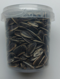 zonnebloempitten 50gr in hersluitbaar potje