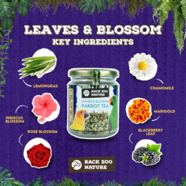 Back Zoo Nature Parrot Tea Leaves & Blossom