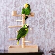 speeltuin voor grote parkieten en papegaaien