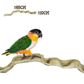 Back Zoo Nature Band Liana 60-70 cm