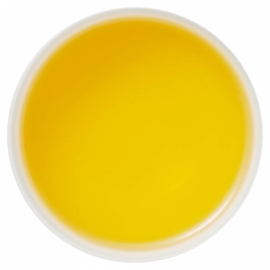 Back Zoo Nature Parrot Tea Fruit & Blossom