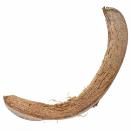 Back Zoo Nature Coconut Husk Slices