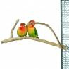 Back Zoo Nature Java Multi Perch Premium Small