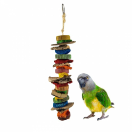 Back Zoo Nature Mixed Slices 36cm
