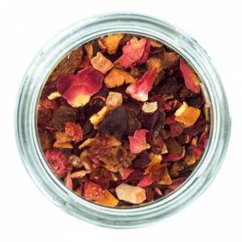 Back Zoo Nature Parrot Tea Fruit & Berry
