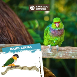 Back Zoo Nature Band Liana 60-70 cm