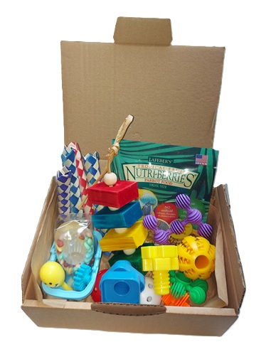 Vakantie box voor kromsnavels