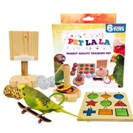 Petlala Parrot Agility Training Set