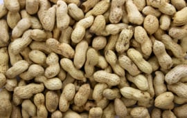 Pinda Ongepeld [dop] 500gr