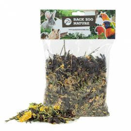 Back Zoo Nature Amber's Flower Mix 150 Gram