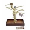 Back Zoo Nature Java Playstand Premium Small