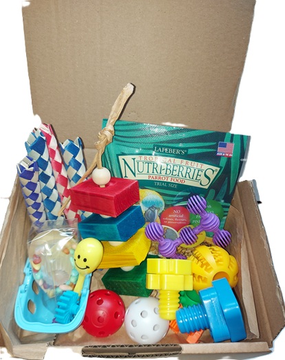 Vakantie box voor kromsnavels