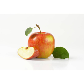 Back Zoo Nature Fruit Cups Apple 6 pcs