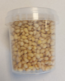 pijnboompitten 75gr in hersluitbaar potje