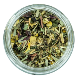Back Zoo Nature Parrot Tea Leaves & Blossom