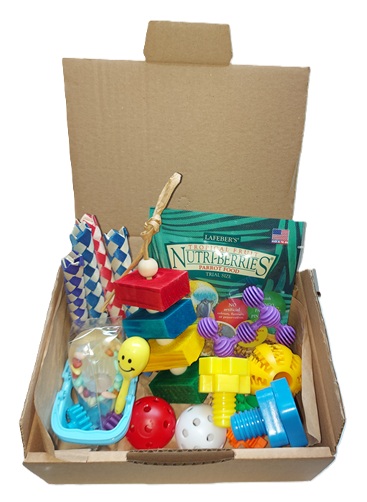 Vakantie box voor kromsnavels