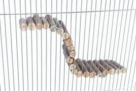 Trixie hangbrug met schroefbevestiging schorshout naturel  30 CM x7 CM
