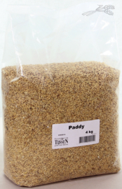 Paddy 4kg