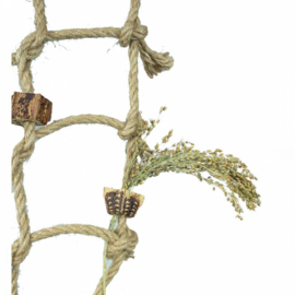 Back Zoo Nature Jungle Net Small