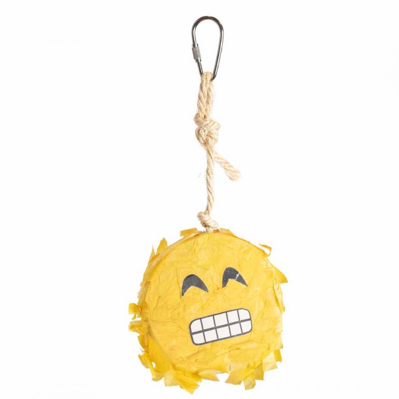 Petlala Emoji Pinata