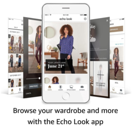 Echo Look style consultant