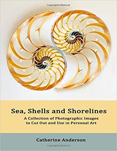 Sea, shells and shorelines