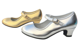 Flamenco shoes silver