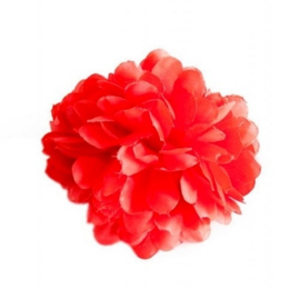 Haarblume rot