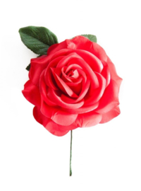 Rose Fleur Flamenco rouge