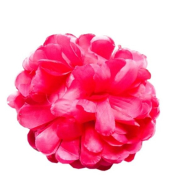 Spanish hair flower pink