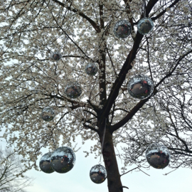 Te huur: Set glitter discobollen assorti, zilver of goud
